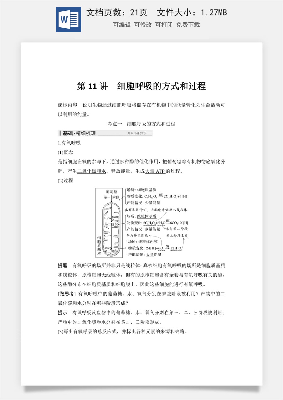 高中-高考总复习-生物-第11讲　细胞呼吸的方式和过程.doc